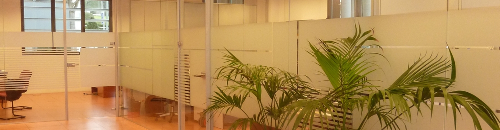 IxisSocialGest - Área de personas con adicciones